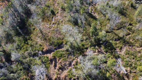 Tbd Epps Road Manning SC 29102