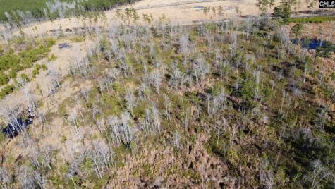 Tbd Epps Road Manning SC 29102