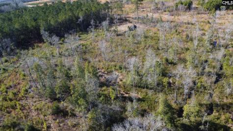 Tbd Epps Road Manning SC 29102