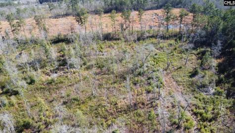 Tbd Epps Road Manning SC 29102