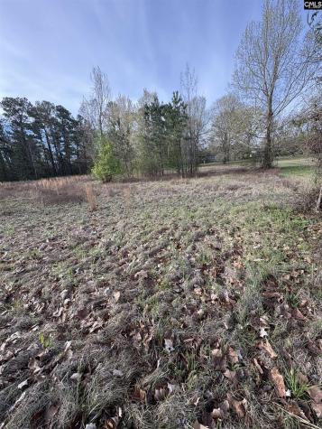 194 Wild Turkey Lane Camden SC 29020