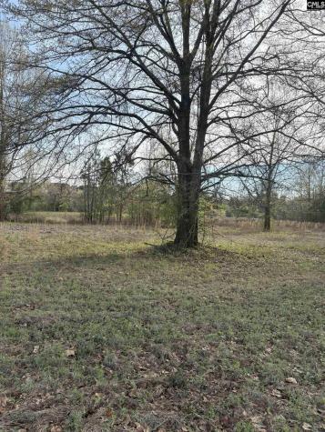 194 Wild Turkey Lane Camden SC 29020