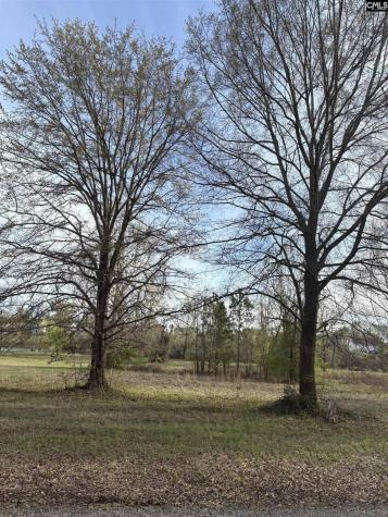 194 Wild Turkey Lane Camden SC 29020