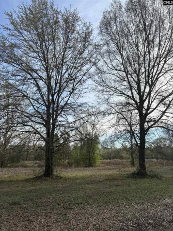 194 Wild Turkey Lane Camden SC 29020