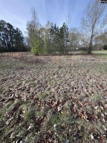 194 Wild Turkey Lane Camden SC 29020