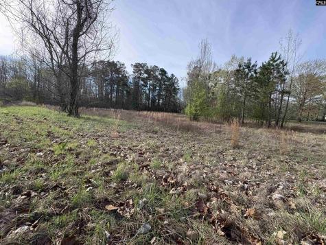 194 Wild Turkey Lane Camden SC 29020