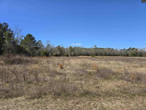 186 Zenker Road Lexington SC 29072