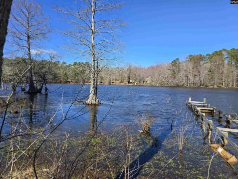 186 Zenker Road Lexington SC 29072