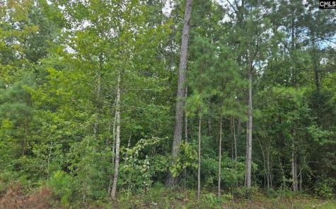 Lot K Old Edgefield Road Greenwood SC 29138