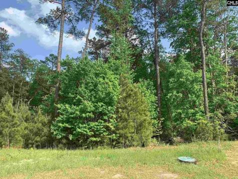 542 Golden Rod Court Columbia SC 29016-7646