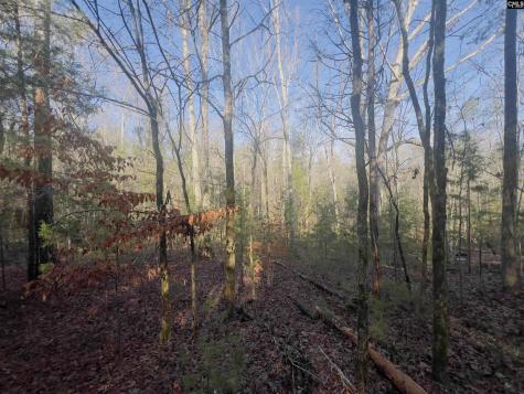 521 Mount Valley Road Blythewood SC 29016
