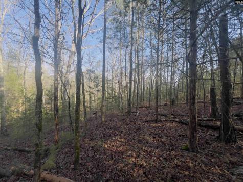 521 Mount Valley Road Blythewood SC 29016