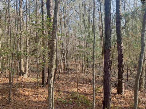521 Mount Valley Road Blythewood SC 29016
