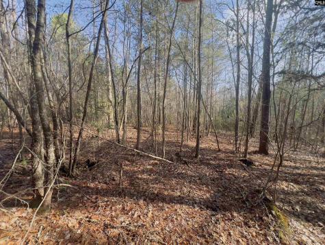 521 Mount Valley Road Blythewood SC 29016