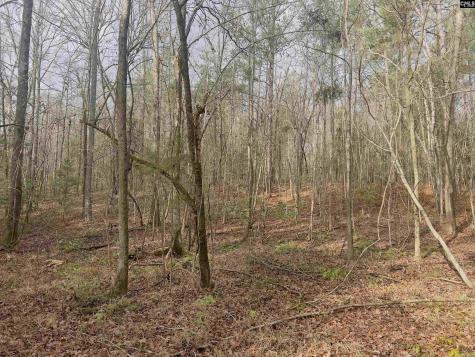 521 Mount Valley Road Blythewood SC 29016