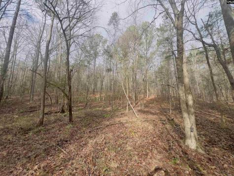 521 Mount Valley Road Blythewood SC 29016