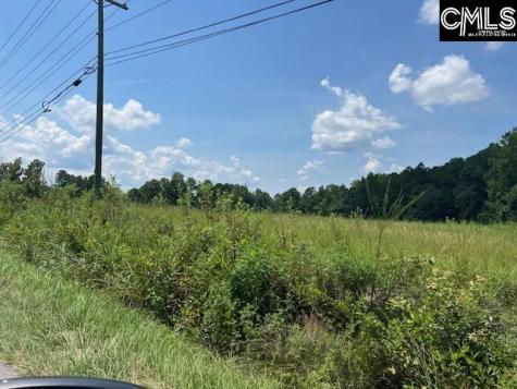 711 Longtown Columbia SC 29229