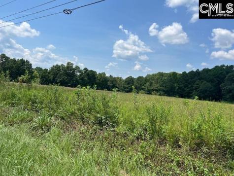 711 Longtown Columbia SC 29229