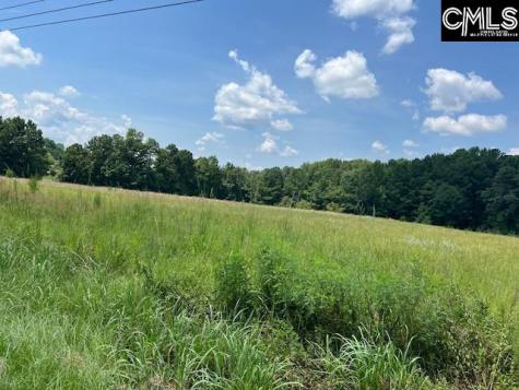 711 Longtown Columbia SC 29229