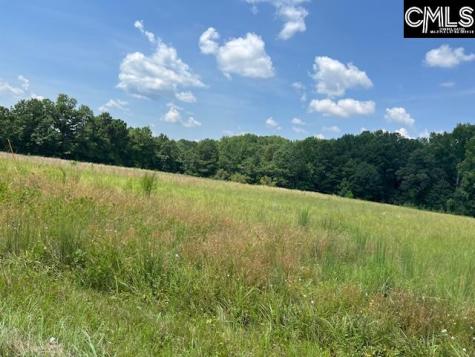 711 Longtown Columbia SC 29229