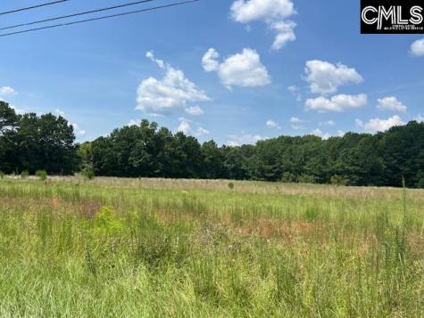 711 Longtown Columbia SC 29229