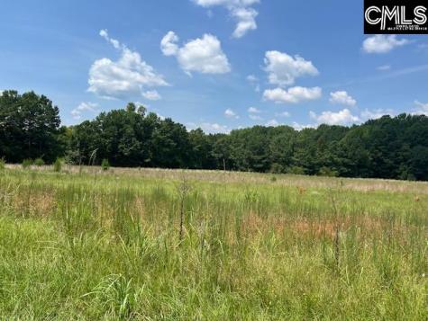 711 Longtown Columbia SC 29229