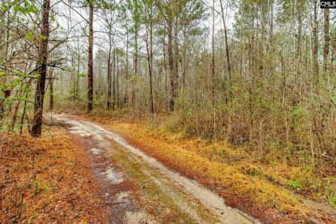 1152 Pineland Drive Columbia SC 29203