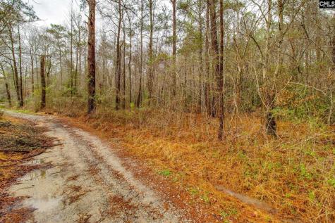 1152 Pineland Drive Columbia SC 29203