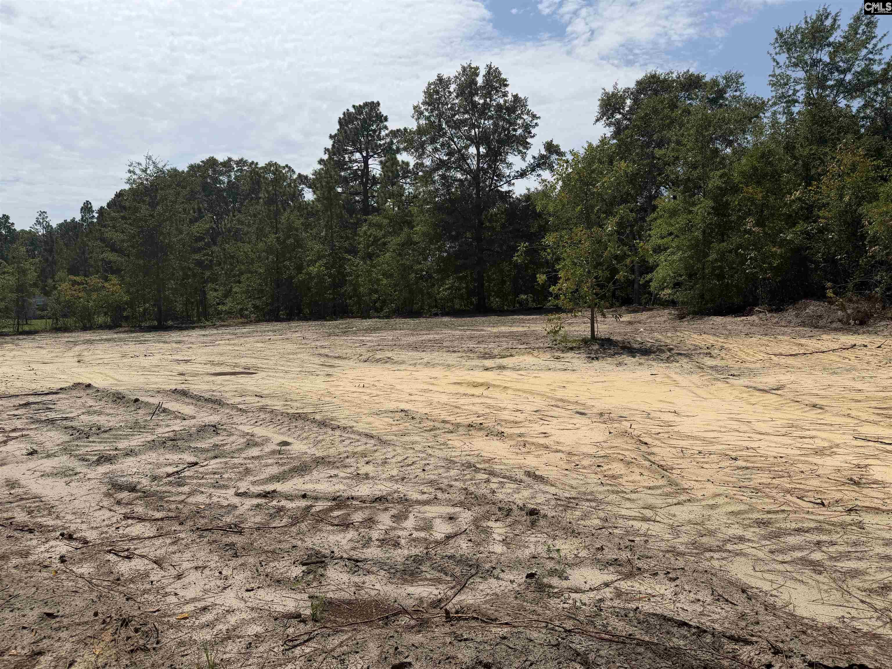 Lot 2 Patrick Highway Hartsville SC 29550