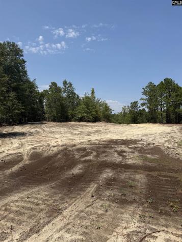 Lot 2 Patrick Highway Hartsville SC 29550