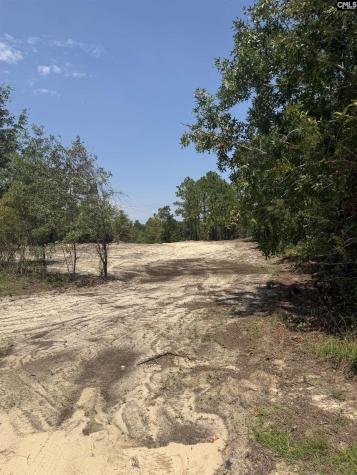 Lot 2 Patrick Highway Hartsville SC 29550