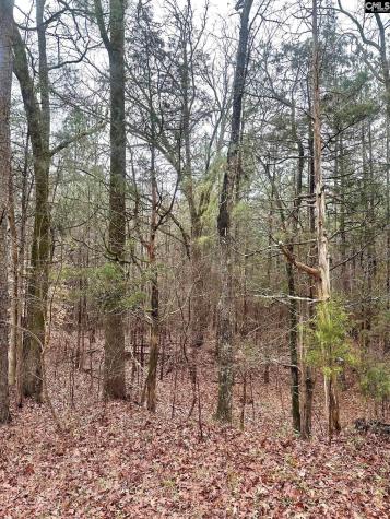 1176 Great Falls Highway Chester SC 29706