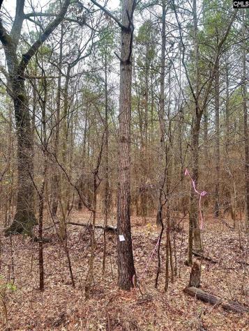1176 Great Falls Highway Chester SC 29706