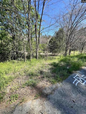 W S Wakefield Road Columbia SC 29203