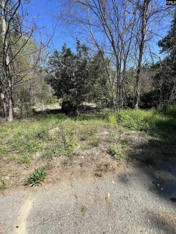 W S Wakefield Road Columbia SC 29203