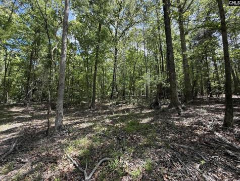 Concord Road Clover SC 29745