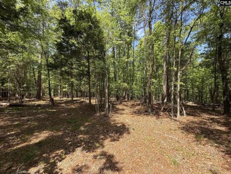 Concord Road Clover SC 29745
