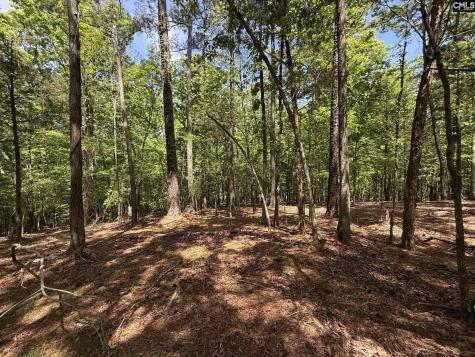 Concord Road Clover SC 29745