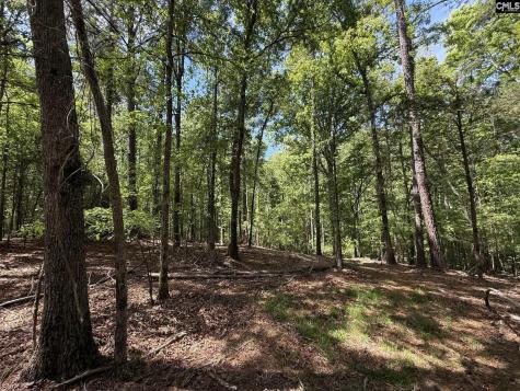 Concord Road Clover SC 29745