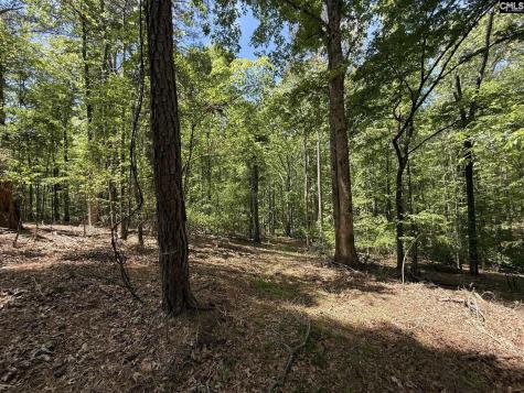 Concord Road Clover SC 29745
