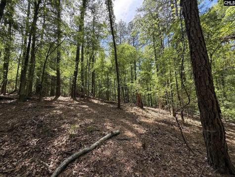Concord Road Clover SC 29745