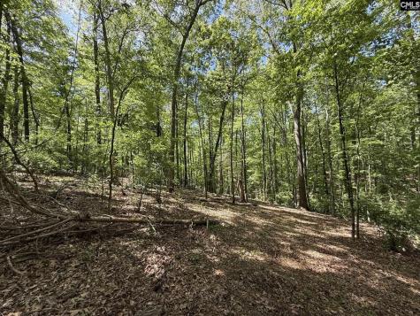 Concord Road Clover SC 29745