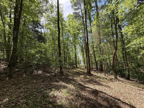 Concord Road Clover SC 29745