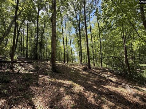 Concord Road Clover SC 29745