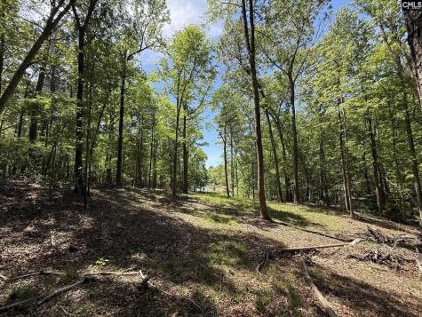 Concord Road Clover SC 29745