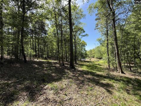 Concord Road Clover SC 29745