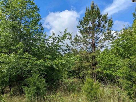 Lockhart Highway Union SC 29379