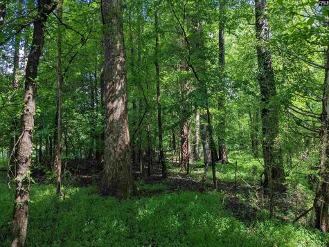 Lockhart Highway Union SC 29379