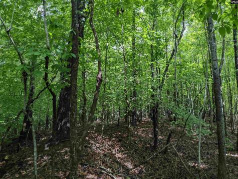 Lockhart Highway Union SC 29379