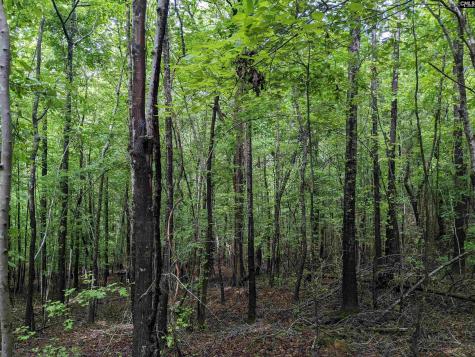 Lockhart Highway Union SC 29379